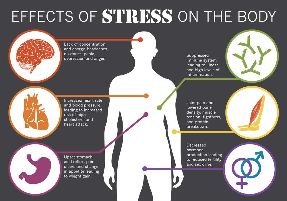 Image result for effects of stress on the body